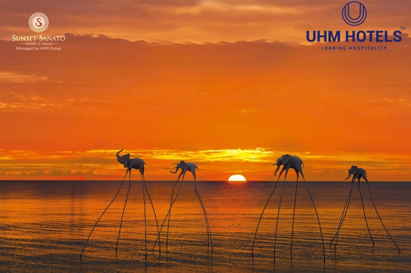 Top 7 Công Ty Tư Vấn Quản Lý, Setup Và Vận Hành Khách Sạn Uy Tín